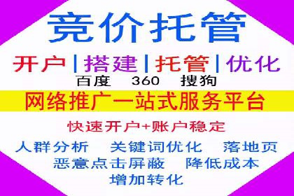 谷歌竞价实战：低成本高回报的广告投放