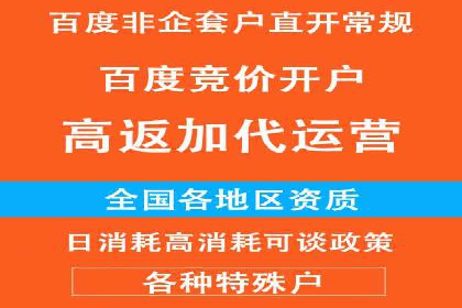 SEM服务公司助力企业国际化案例